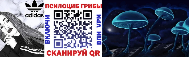 где продают   Калуга  Галлюциногенные грибы прущие грибы 